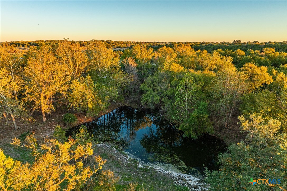 Tbd Fm 2843 Property Photo 14