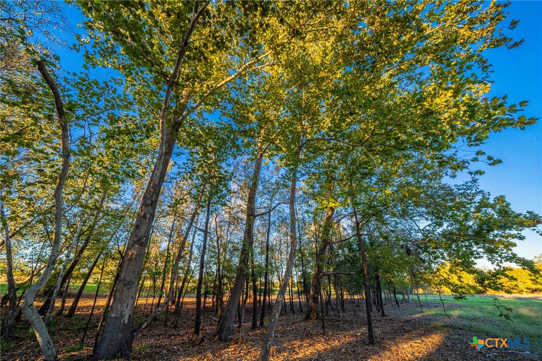 Tbd Fm 2843 Property Photo 16