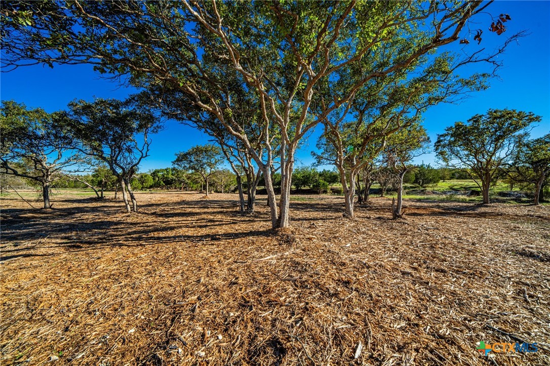 Tbd Fm 2843 Property Photo 17