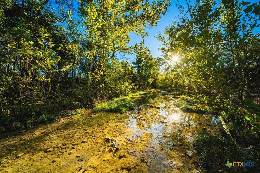 Tbd Fm 2843 Property Photo 18