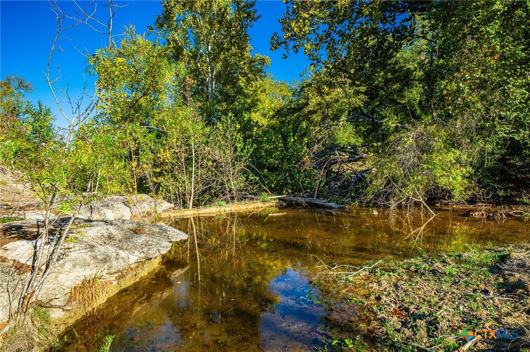 Tbd Fm 2843 Property Photo 22