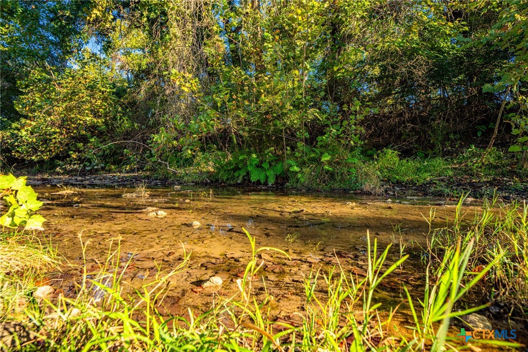 Tbd Fm 2843 Property Photo 24