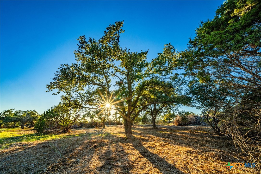Tbd Fm 2843 Property Photo 26