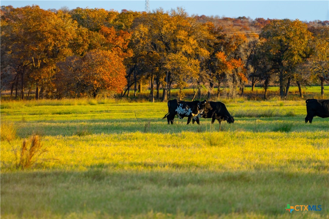 Tbd Tx-123 Property Photo 1
