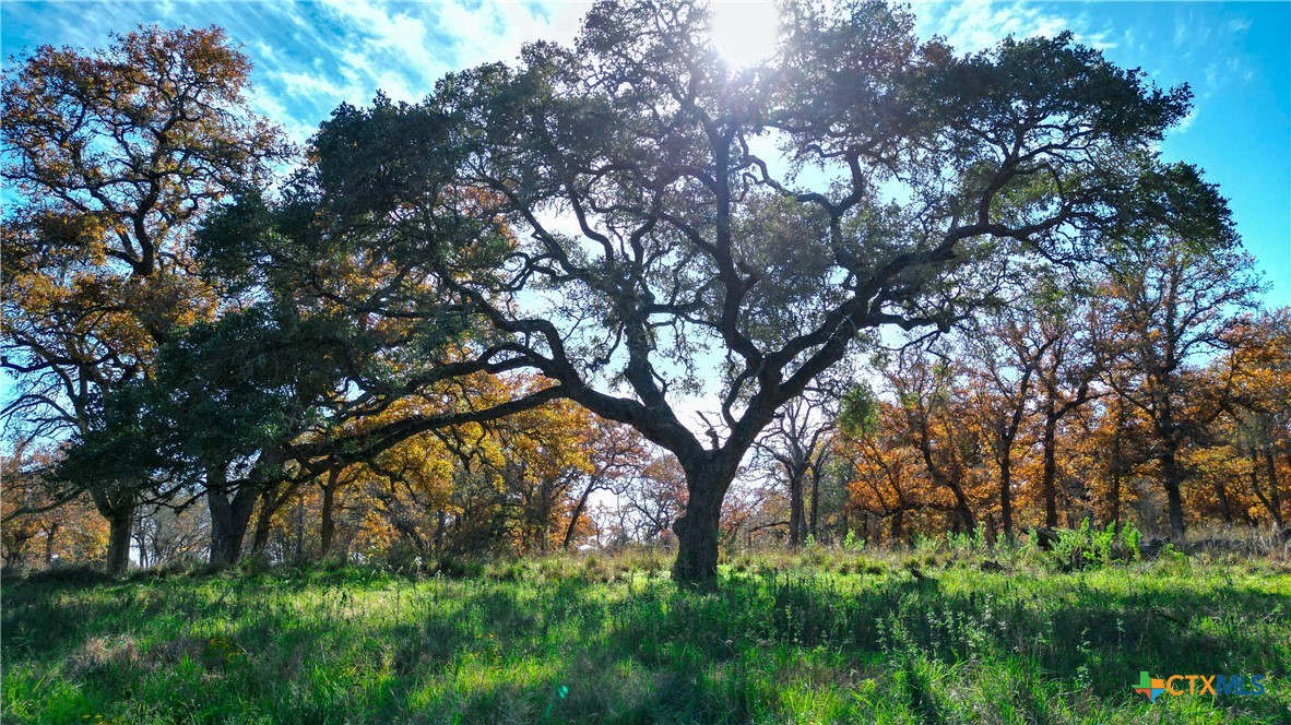 Tbd Tx-123 Property Photo 3