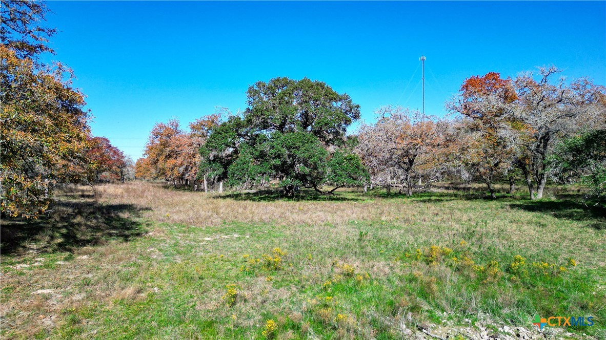 Tbd Tx-123 Property Photo 6