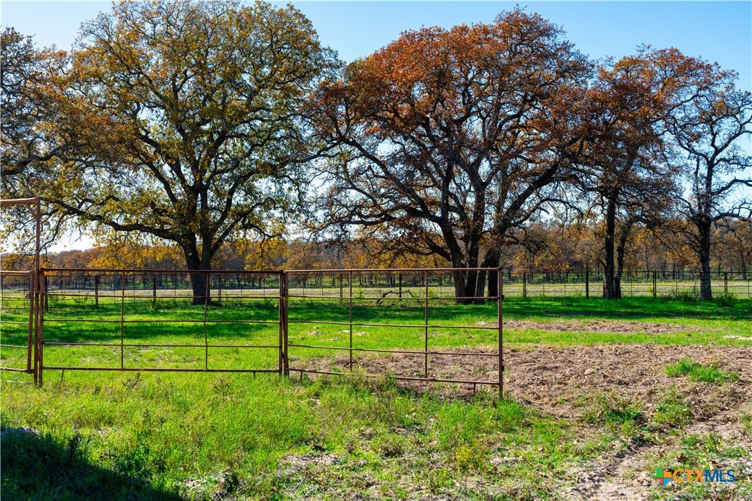Tbd Tx-123 Property Photo 22