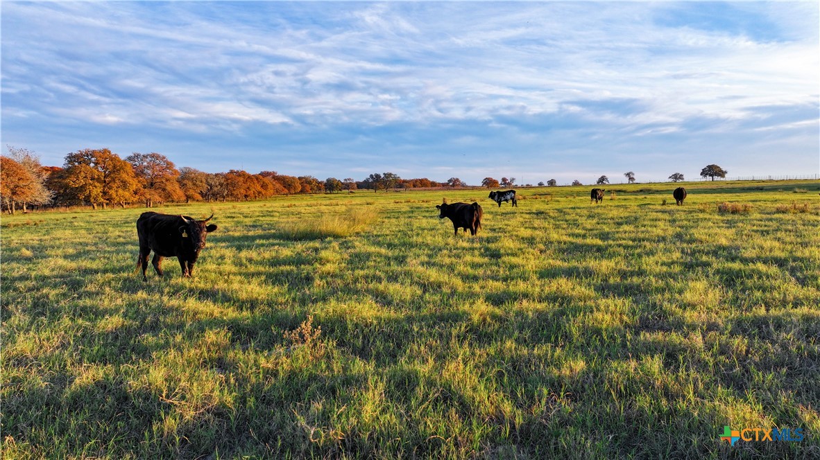 Tbd Tx-123 Property Photo 28