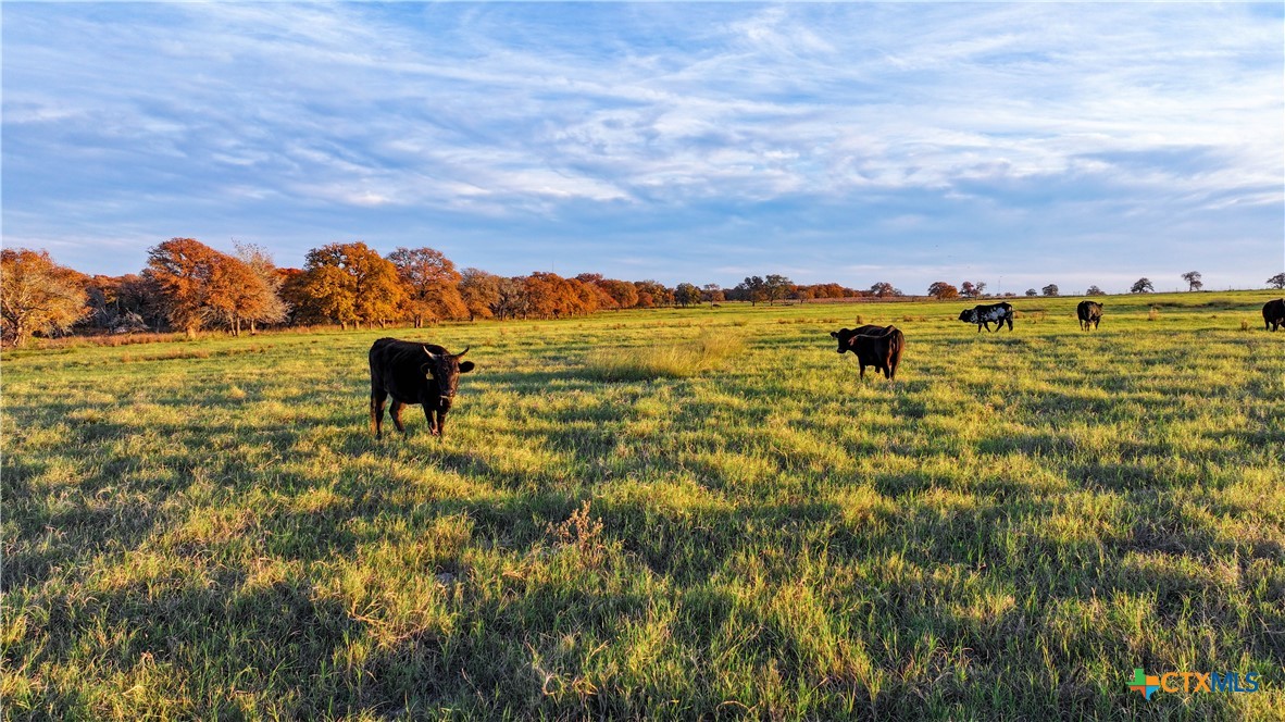 Tbd Tx-123 Property Photo 31
