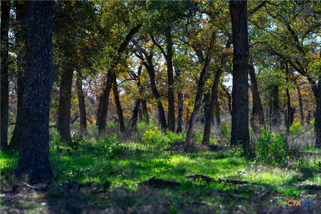 Tbd Tx-123 Property Photo 39