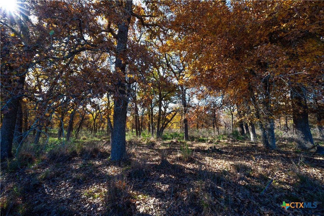 Tbd Tx-123 Property Photo 44
