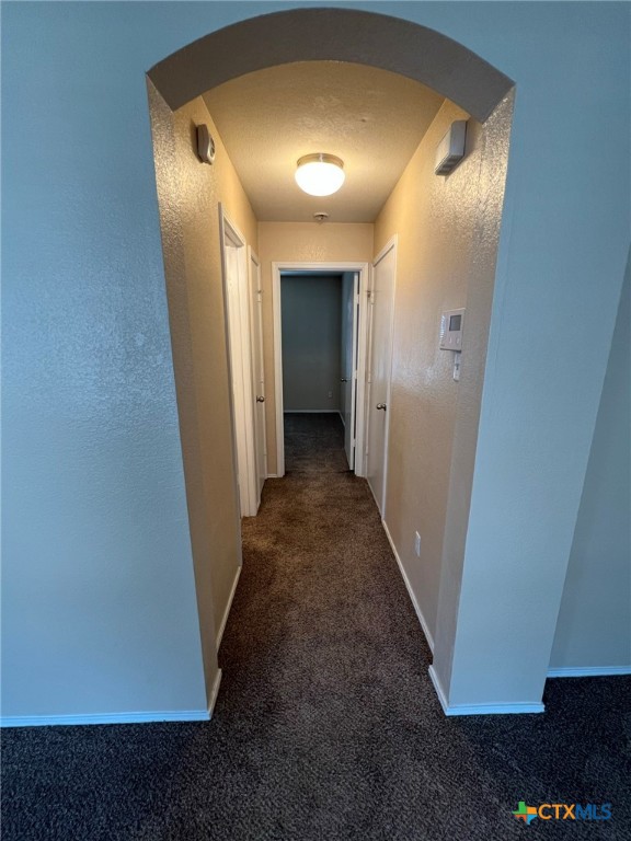 9109 Bellgrove Court Property Photo 10