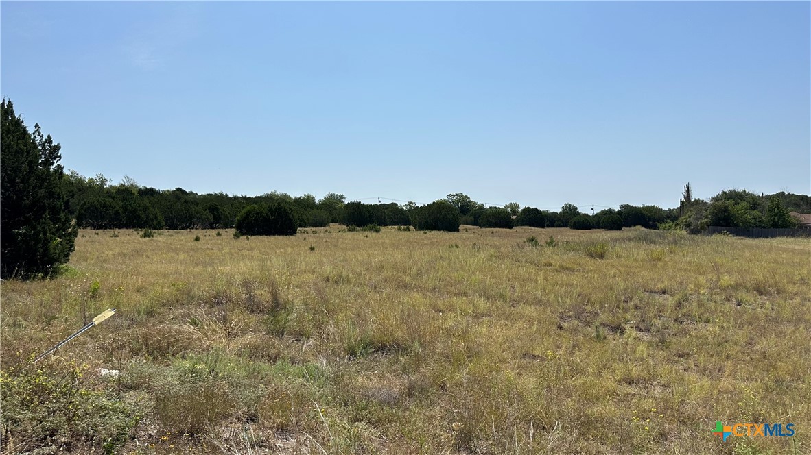 905 W W. Business 190 Highway Property Photo 6