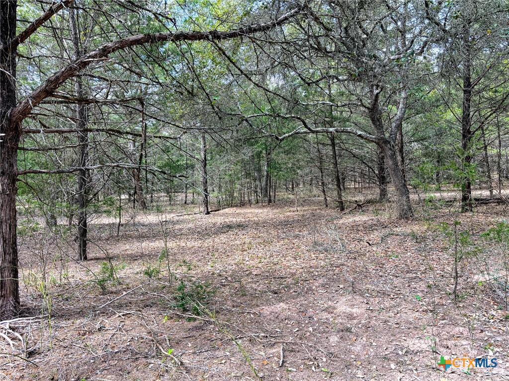 819 County Road 152 Property Photo 9