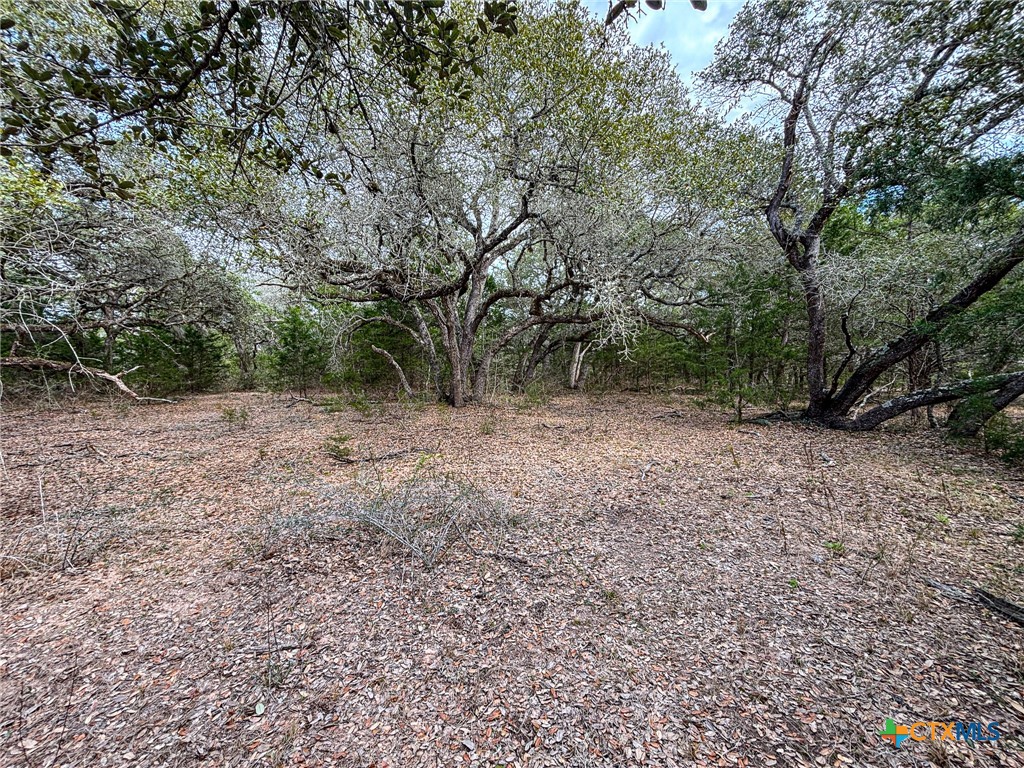 819 County Road 152 Property Photo 10