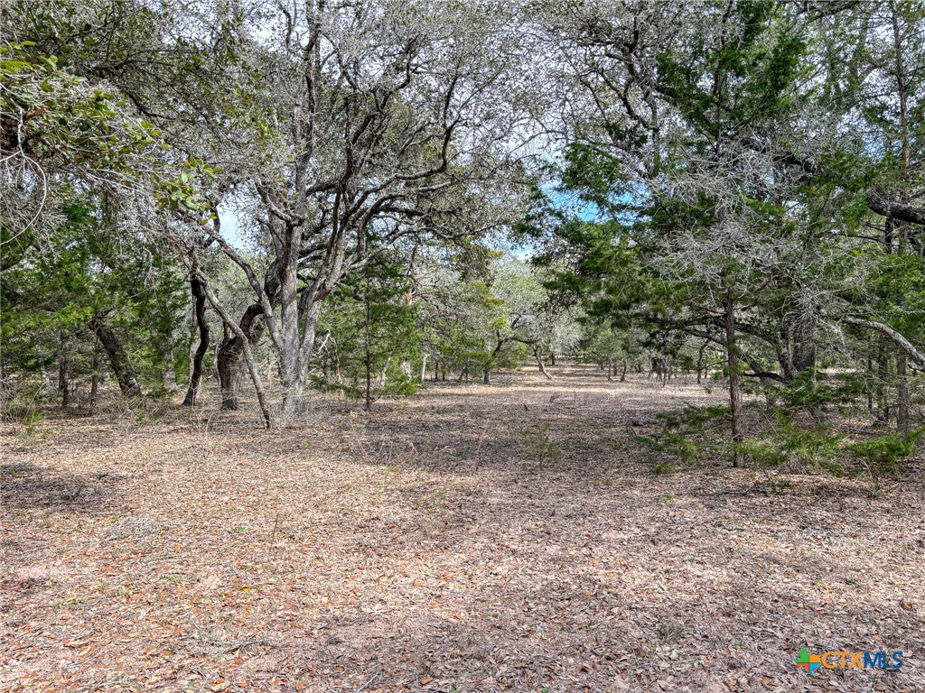 819 County Road 152 Property Photo 13