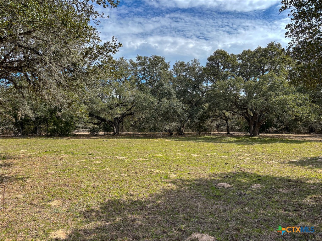 819 County Road 152 Property Photo 25