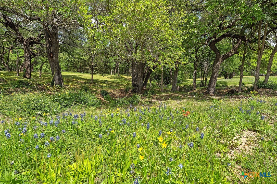Lot 2 Foxview Drive Property Photo 6