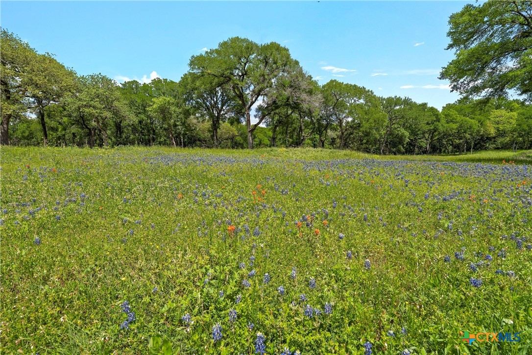 Lot 2 Foxview Drive Property Photo 13