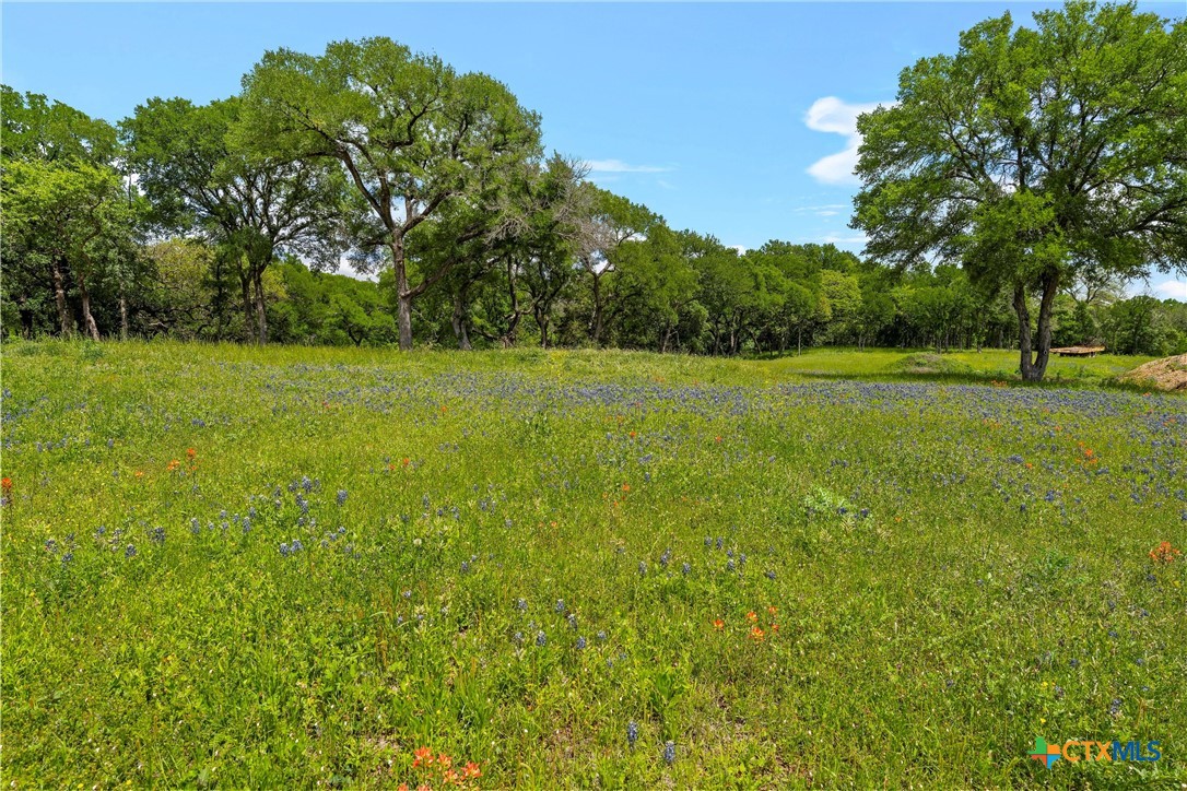 Lot 2 Foxview Drive Property Photo 18