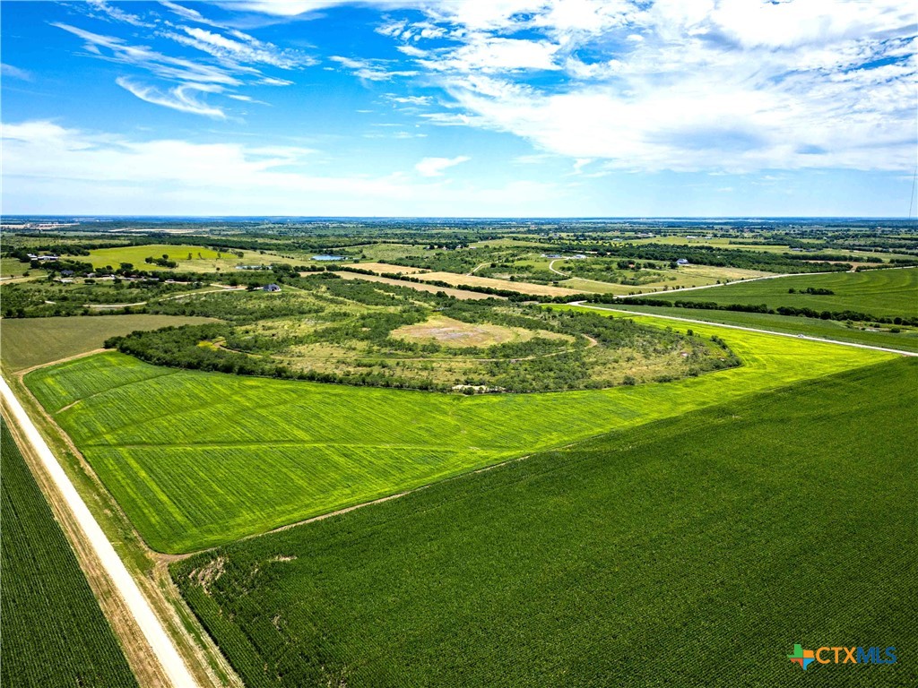 66.5 Ac. Alexander Road Property Photo 8