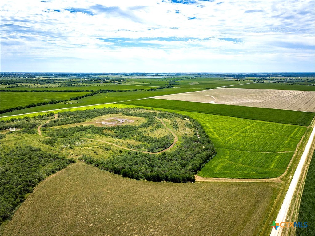 66.5 Ac. Alexander Road Property Photo 12
