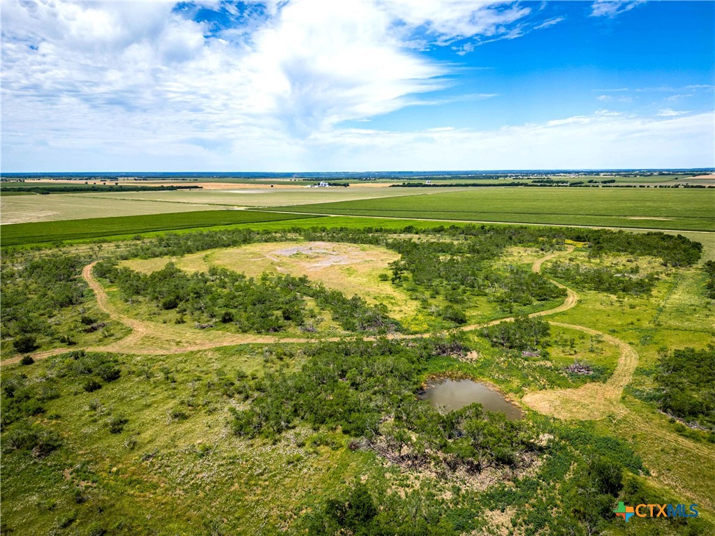 66.5 Ac. Alexander Road Property Photo 15