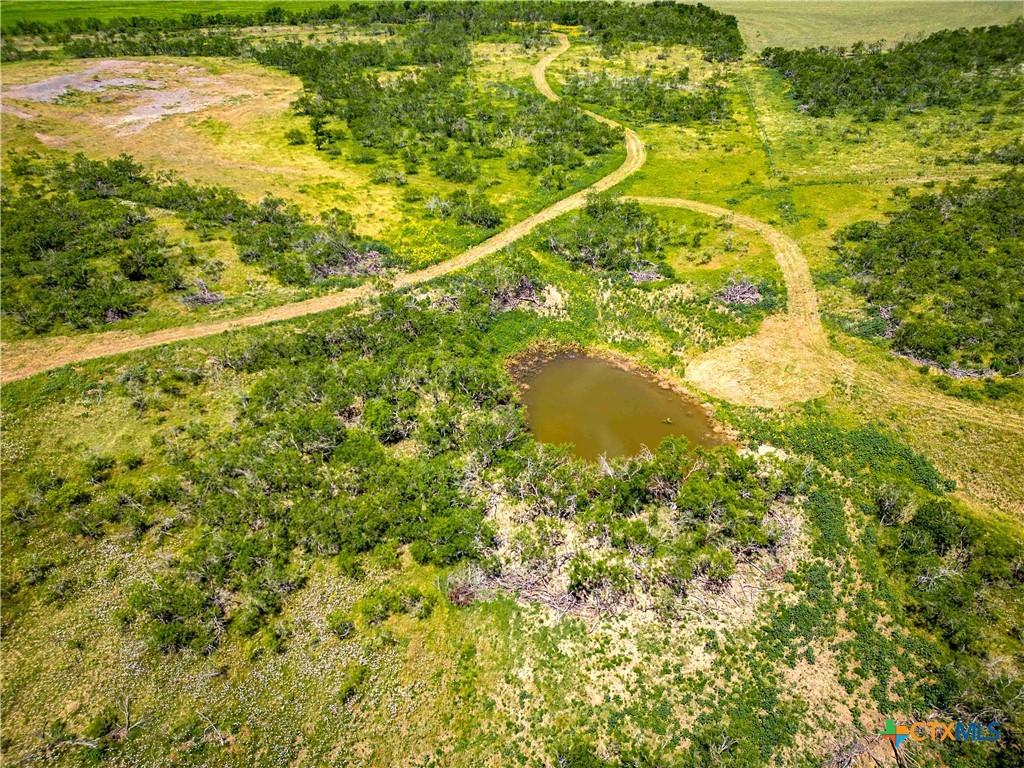 66.5 Ac. Alexander Road Property Photo 16