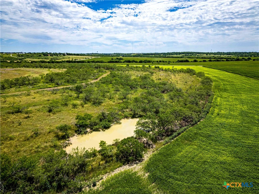 66.5 Ac. Alexander Road Property Photo 19