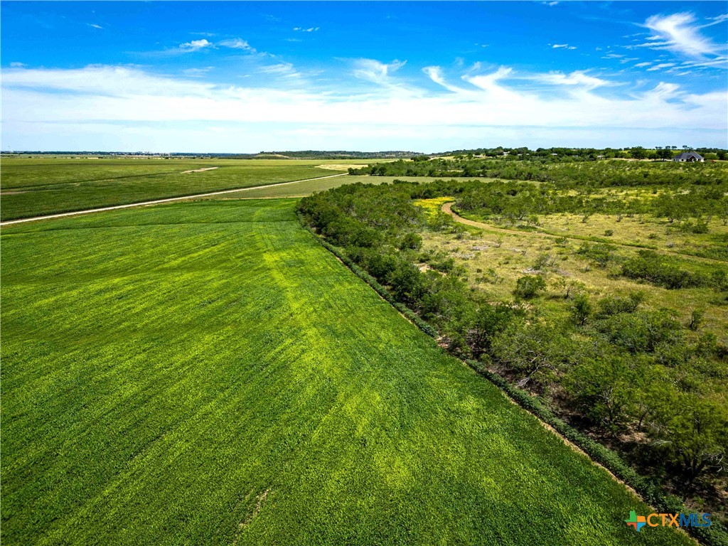 66.5 Ac. Alexander Road Property Photo 20