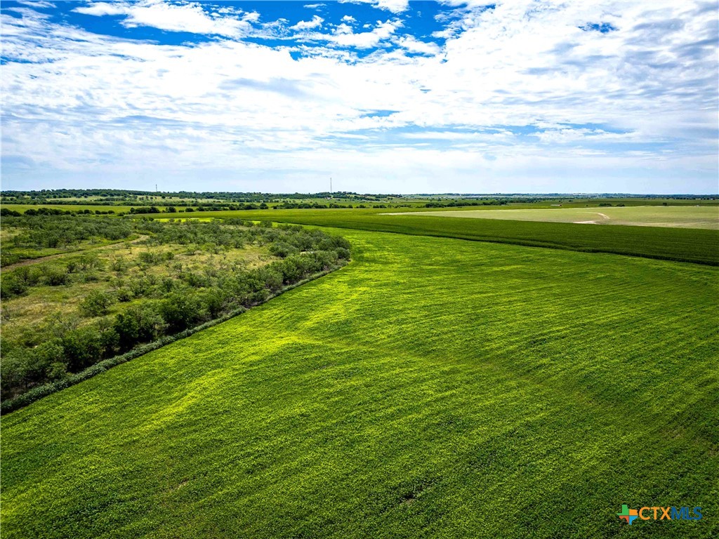 66.5 Ac. Alexander Road Property Photo 21