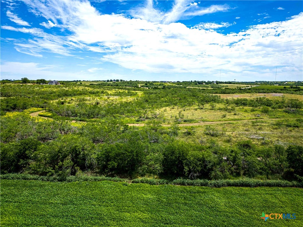66.5 Ac. Alexander Road Property Photo 22