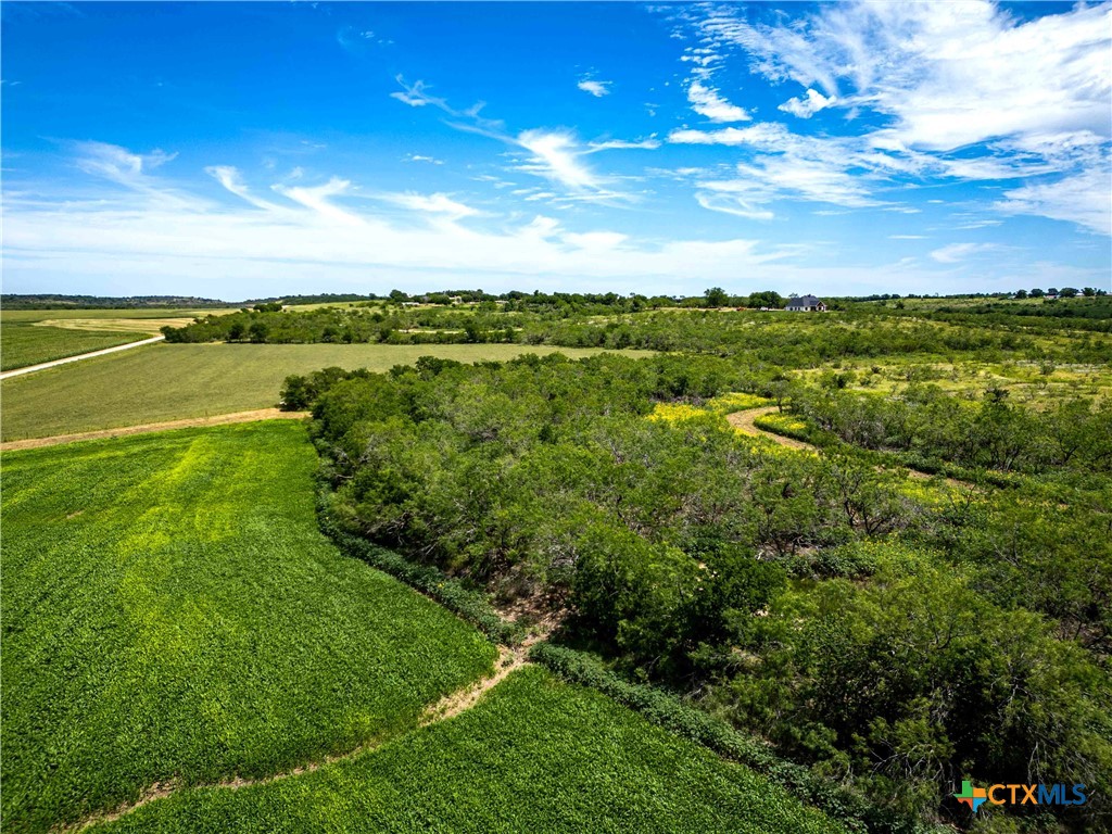 66.5 Ac. Alexander Road Property Photo 23