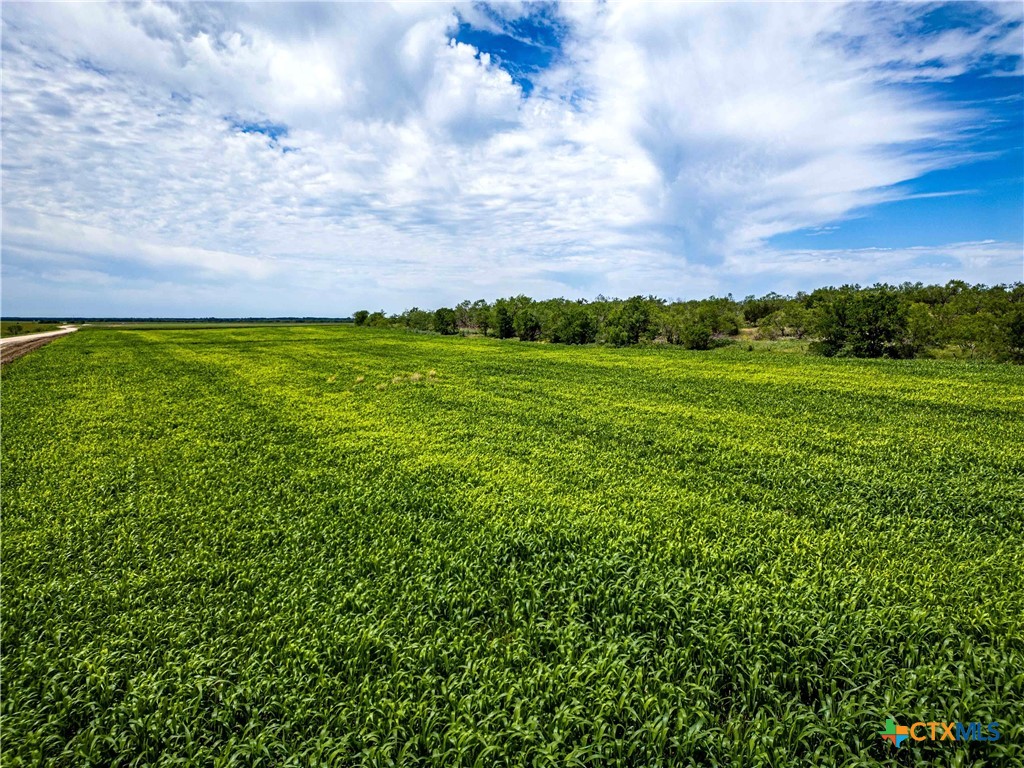 66.5 Ac. Alexander Road Property Photo 24