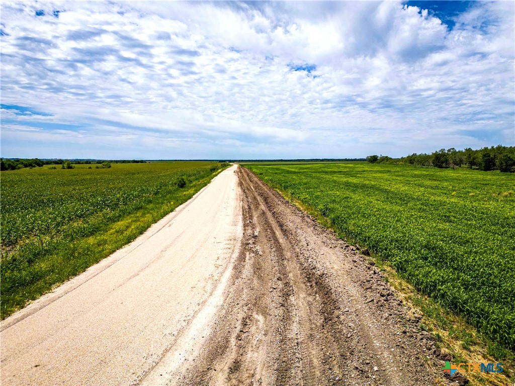 66.5 Ac. Alexander Road Property Photo 25