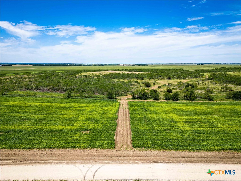 66.5 Ac. Alexander Road Property Photo 26