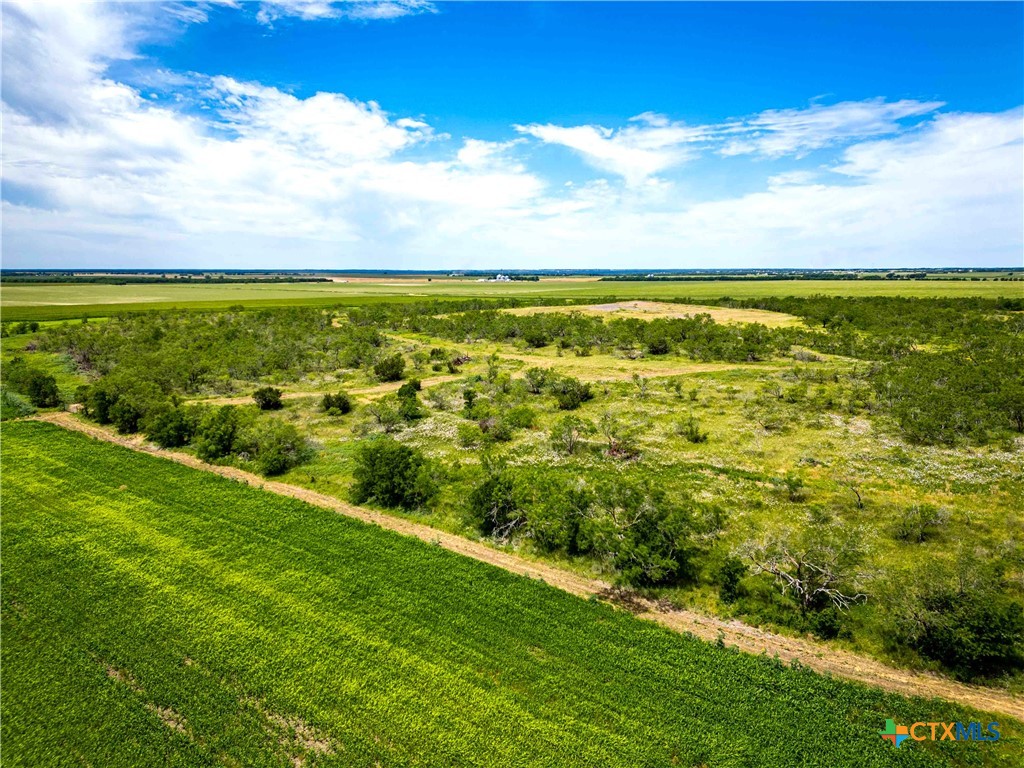 66.5 Ac. Alexander Road Property Photo 27
