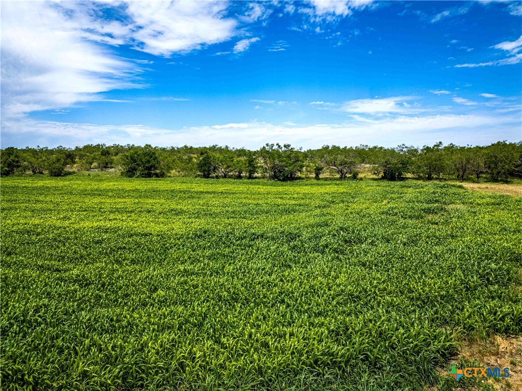 66.5 Ac. Alexander Road Property Photo 28