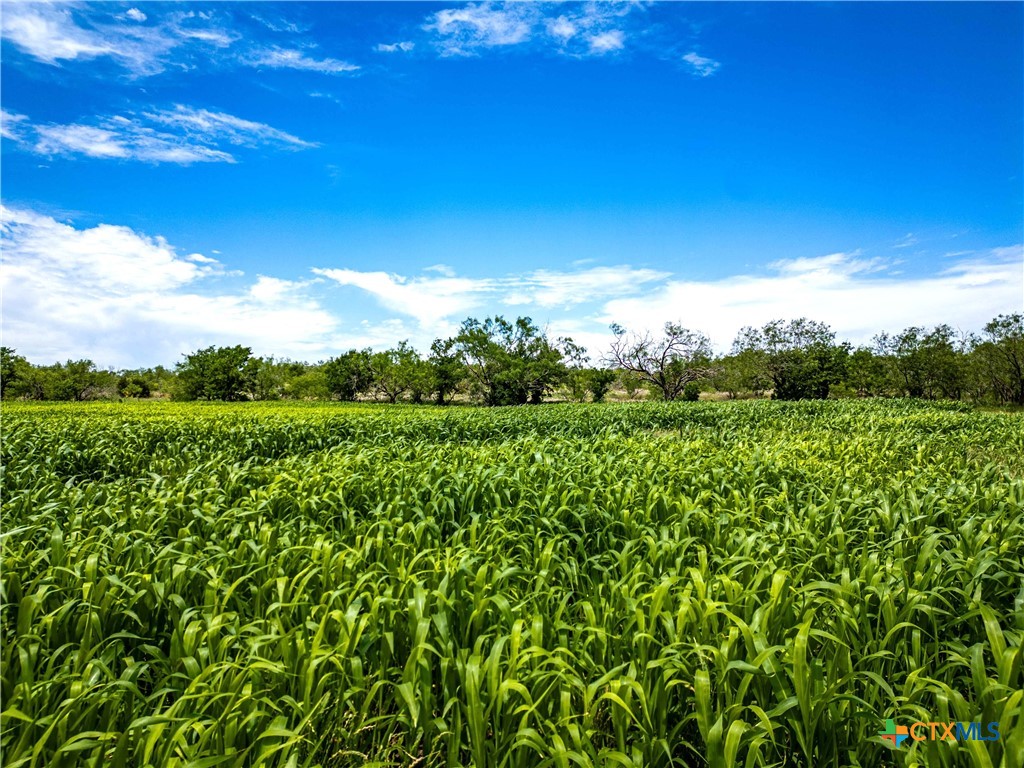 66.5 Ac. Alexander Road Property Photo 29