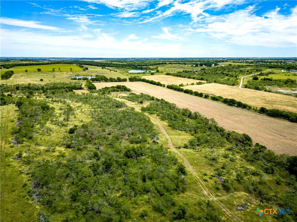 46.5 Ac. Alexander Road Property Photo 14