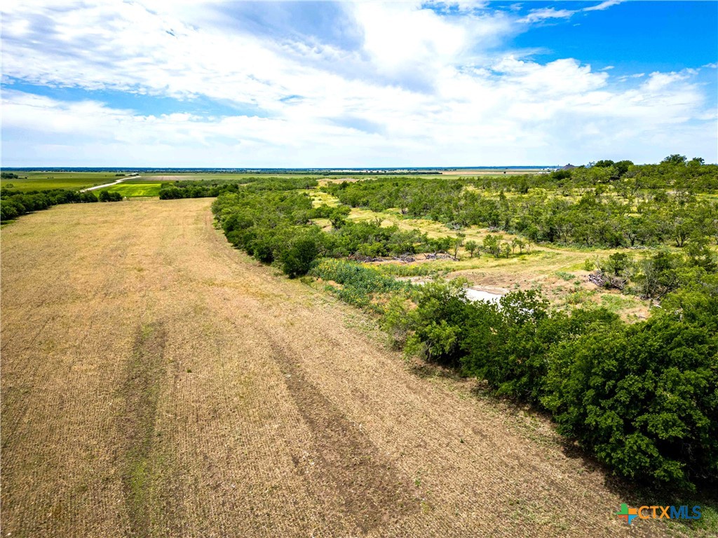 46.5 Ac. Alexander Road Property Photo 16