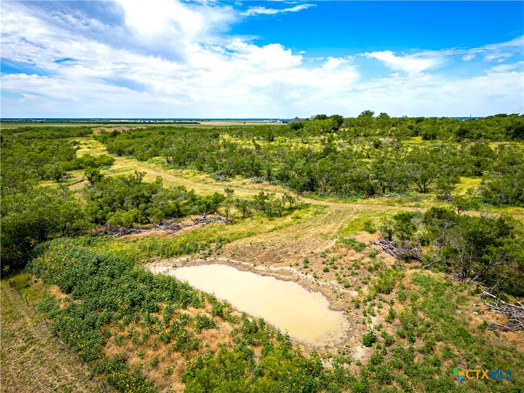 46.5 Ac. Alexander Road Property Photo 18