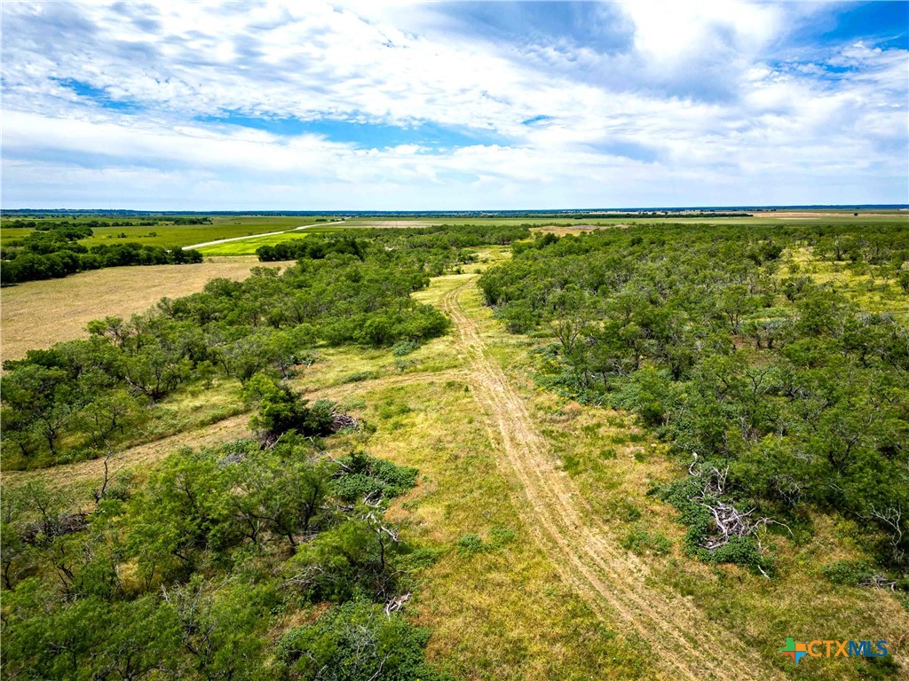 46.5 Ac. Alexander Road Property Photo 19