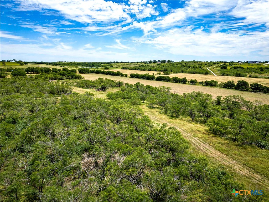 46.5 Ac. Alexander Road Property Photo 20