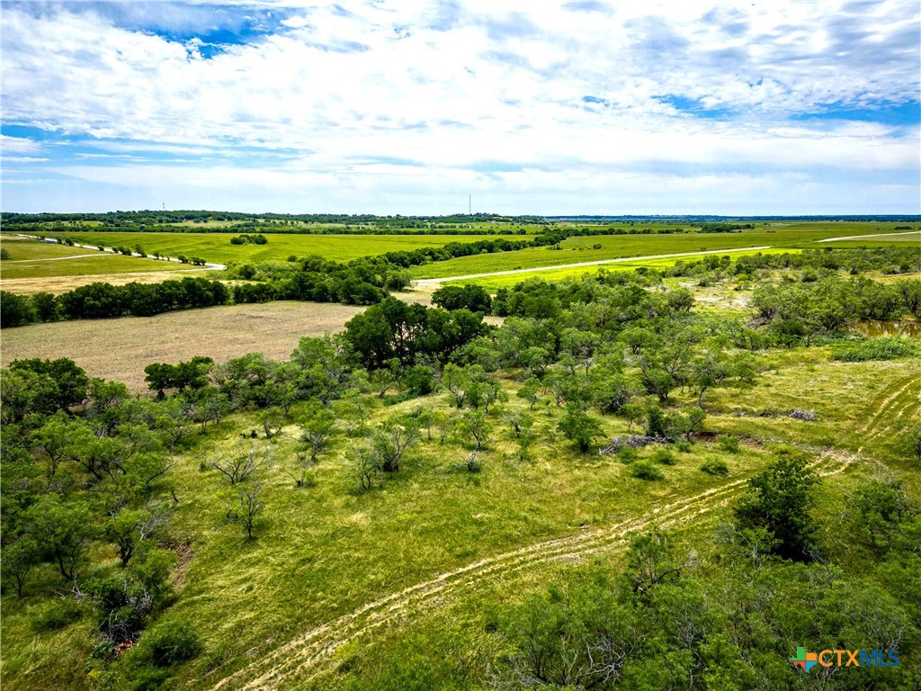 46.5 Ac. Alexander Road Property Photo 21
