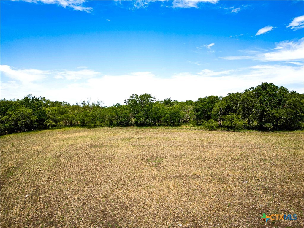 46.5 Ac. Alexander Road Property Photo 22