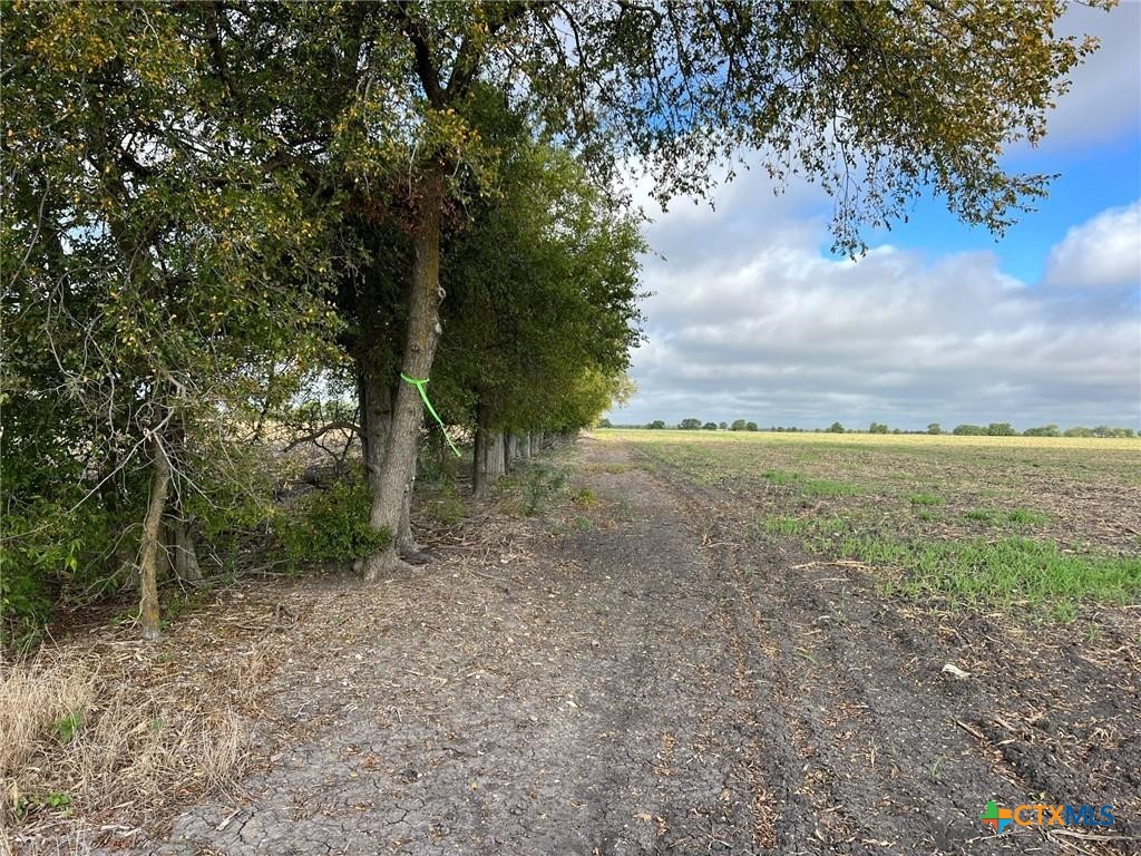 Tbd Cr 117 Property Photo 2