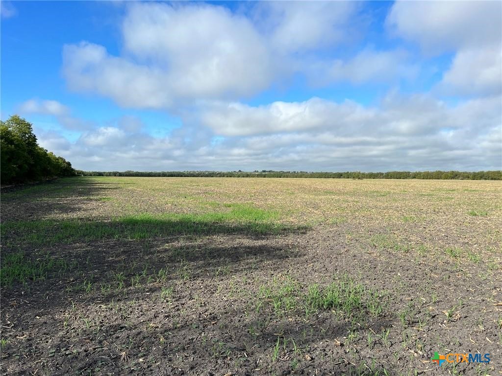 Tbd Cr 117 Property Photo 3