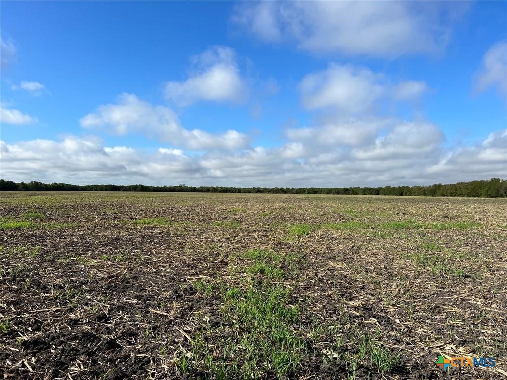 Tbd Cr 117 Property Photo 4