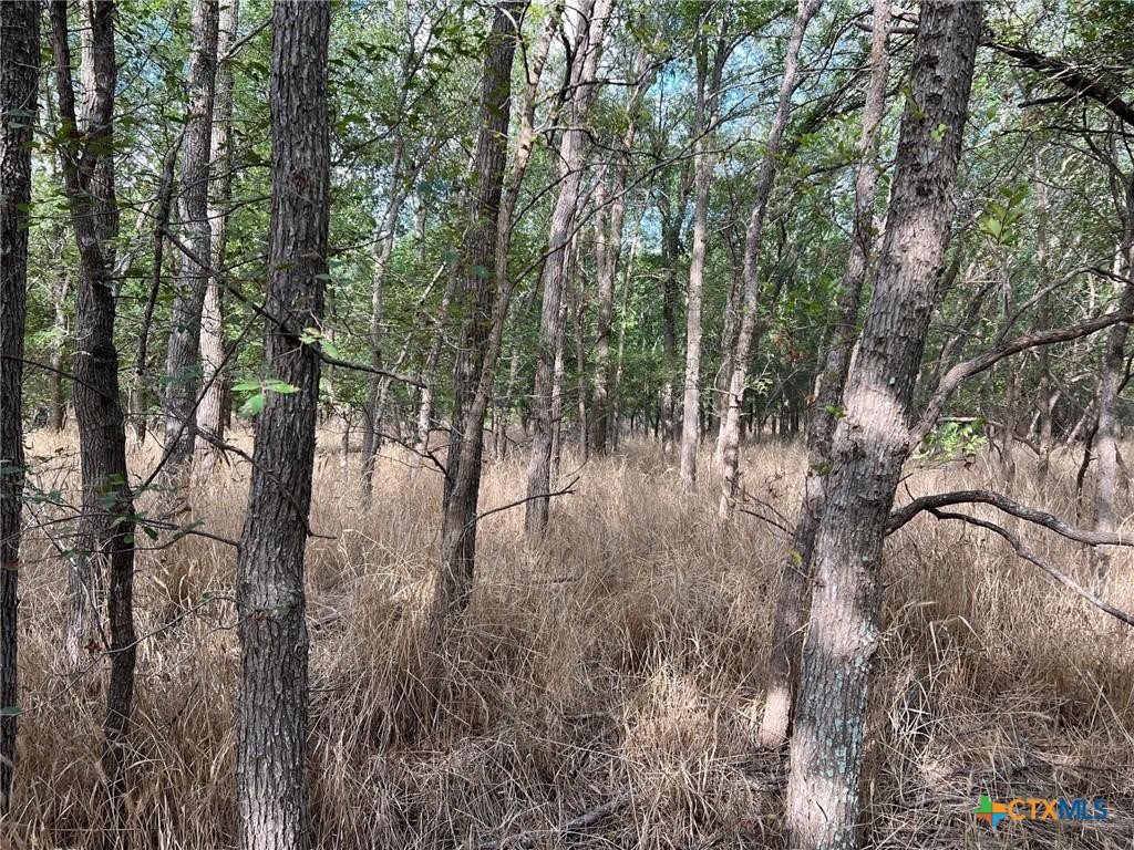 Tbd Cr 117 Property Photo 7